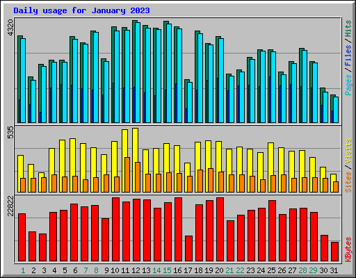 Daily usage for January 2023