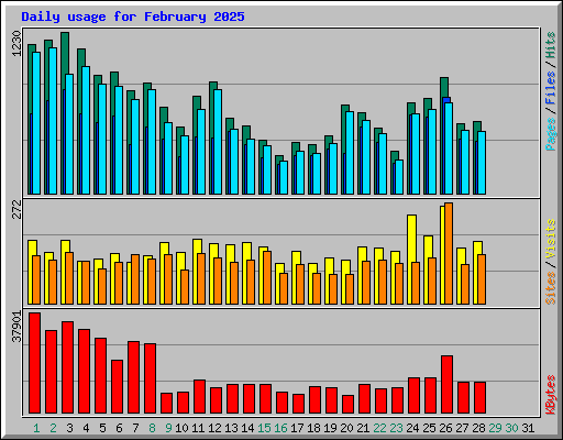 Daily usage for February 2025