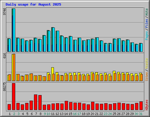 Daily usage for August 2025