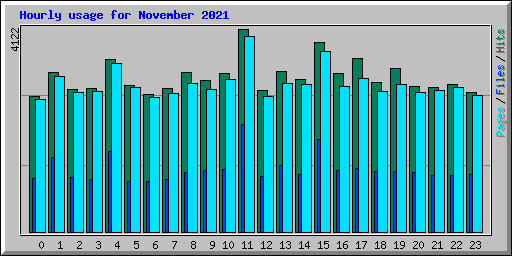 Hourly usage for November 2021