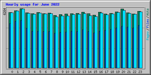 Hourly usage for June 2022