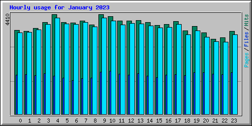 Hourly usage for January 2023