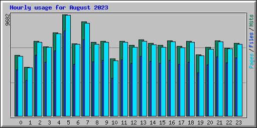 Hourly usage for August 2023