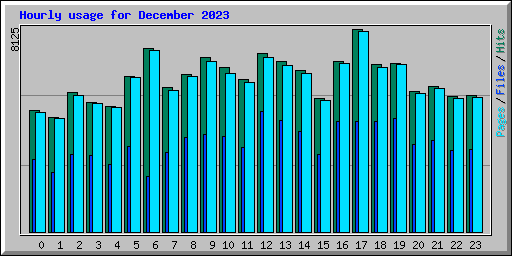 Hourly usage for December 2023