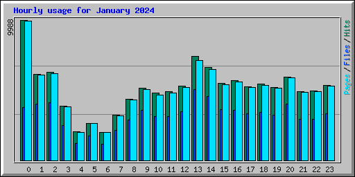 Hourly usage for January 2024