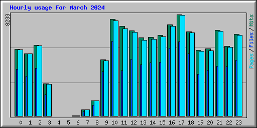 Hourly usage for March 2024