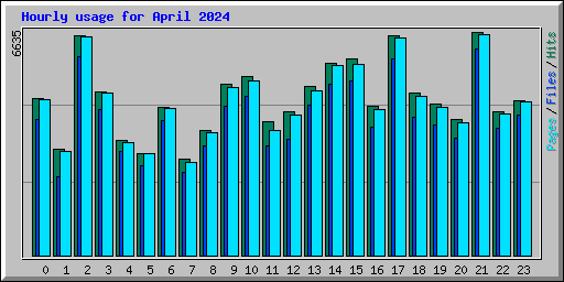 Hourly usage for April 2024