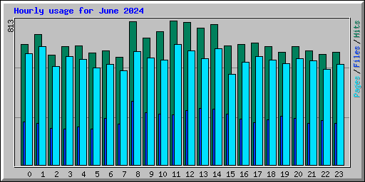 Hourly usage for June 2024