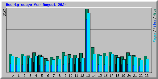 Hourly usage for August 2024