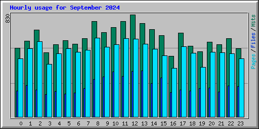 Hourly usage for September 2024