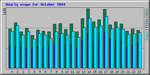 Hourly usage for October 2024