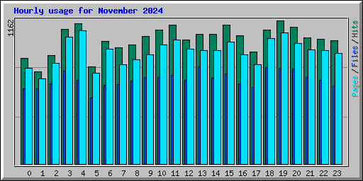 Hourly usage for November 2024