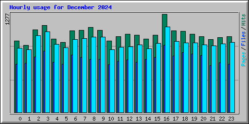 Hourly usage for December 2024