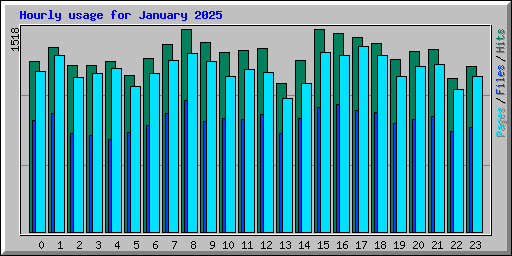 Hourly usage for January 2025