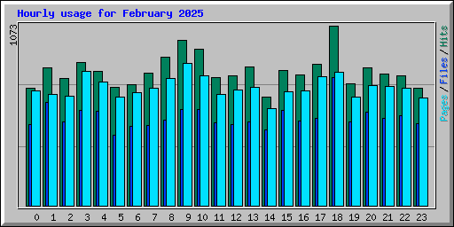 Hourly usage for February 2025