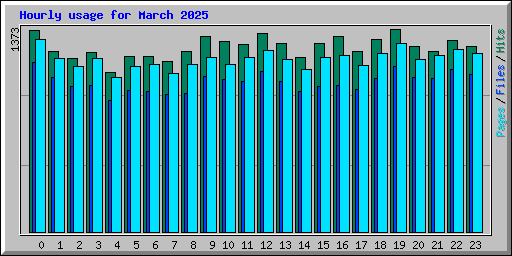 Hourly usage for March 2025