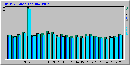 Hourly usage for May 2025