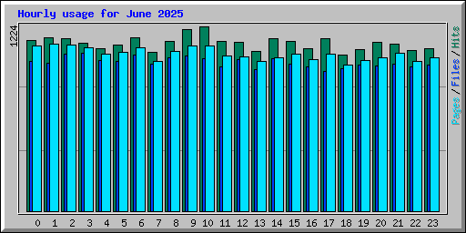 Hourly usage for June 2025