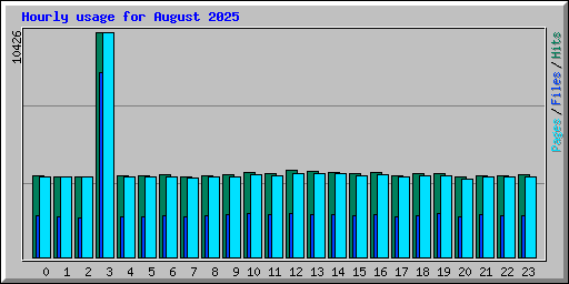 Hourly usage for August 2025