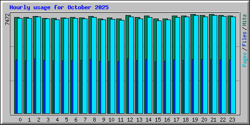 Hourly usage for October 2025