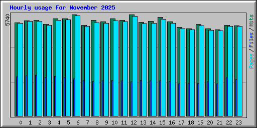 Hourly usage for November 2025