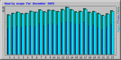 Hourly usage for December 2025