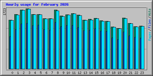 Hourly usage for February 2026