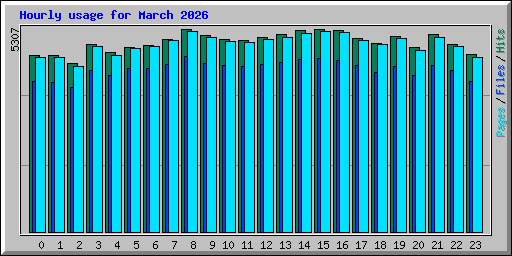Hourly usage for March 2026