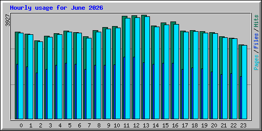 Hourly usage for June 2026